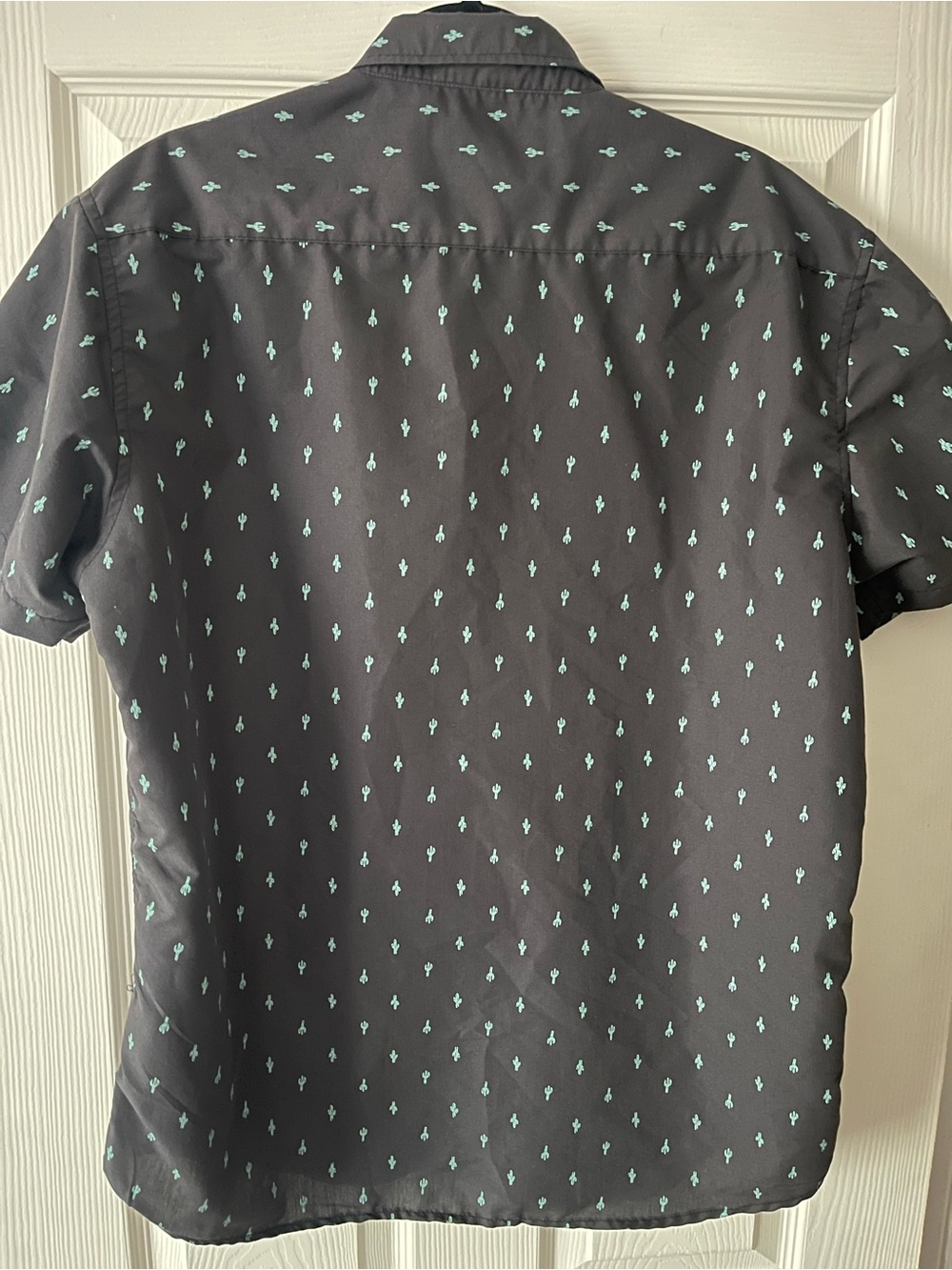 Molokai Surf Co. Men's Black Button-Down Shirt with Mint Cactus Print - Picture 3 of 5